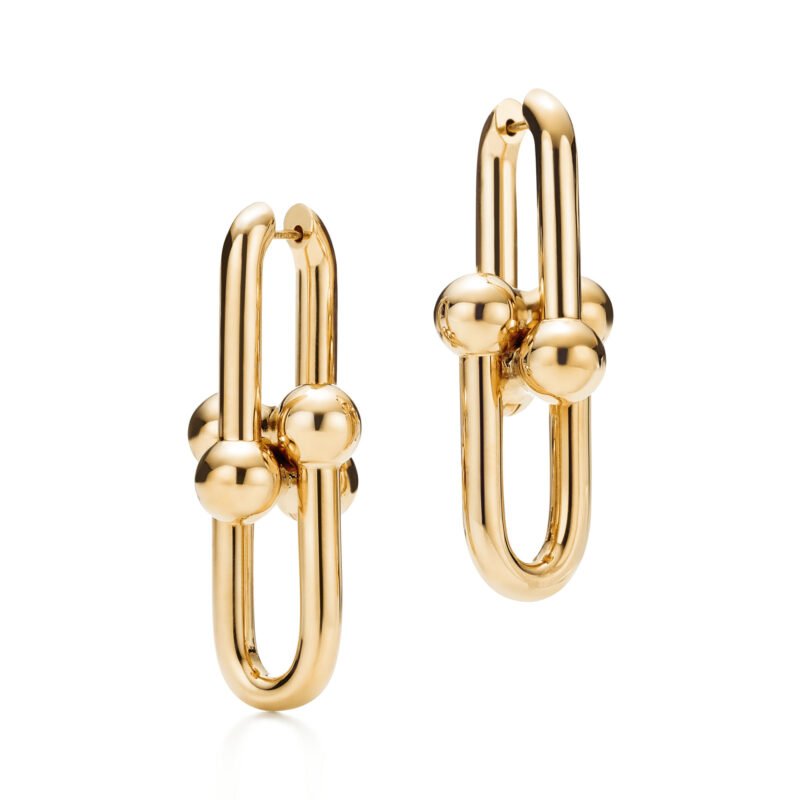 HardWear Extra Large Link Earrings